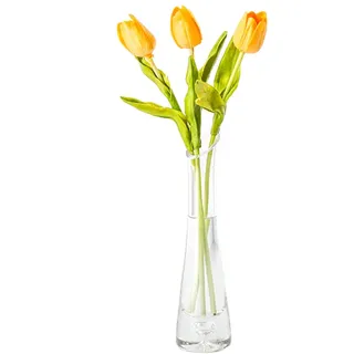 Kleine Blumenvase, hoch, dünn, schmaler Hals, Glasvasen, transparent, Mini-Öffnung, Einzelstielvasen für dekorative Heimdekoration, Wohnzimmer, Büro und Tafelaufsätze, 23 cm