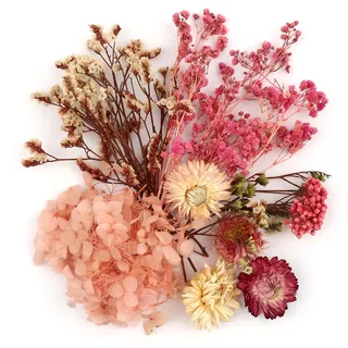 Klein Trockenblumen Zum Basteln,Natürliche Getrocknete Blumen Deko Rosa