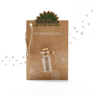Die Stadtgärtner – Kleiner Wunscherfüller I Echtes Pusteblumen-Schirmchen im Glas I Ewig haltbar I Perfekte Geschenkidee für jeden Anlass I Geschenk zu Geburtstag, Hochzeit, Muttertag, Ostern etc.