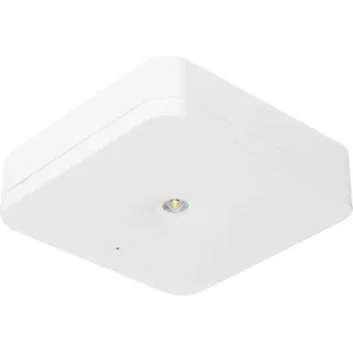 Fischer Sicherheitsleuchte SLM-D31USC