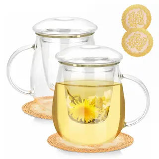 QHYK 2 Stück 500ml GlasTeetasse, Tasse mit Glas Filterbecher und Deckel aus Glas, mit Elegant PVC-Küstenfahrer, Teetasse geeignet für Schwarzer Tee, Getränke, Eiskaffee, Teebeutel