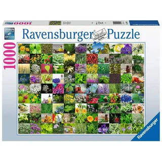 Ravensburger Kräuter und Gewürze (15991)