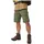 Barents Pro Shorts Regular Grün 52