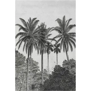 Art for the home Fototapete Palmen 300 x 200 cm
