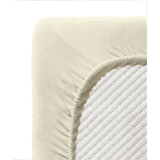 Jenny C 001115 Single-Jersey 180 x 200 - 200 x 200 cm creme