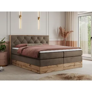 MKS Meble King Boxspringbett 160x200 mit Bettkasten Eiche, Polsterbett 160x200 mit Matratze H3, Bett 160x200 mit Kopfteil, Bett mit Holzrahmen in Wotan Eiche - Braun Velvet - Veneto King - Braun