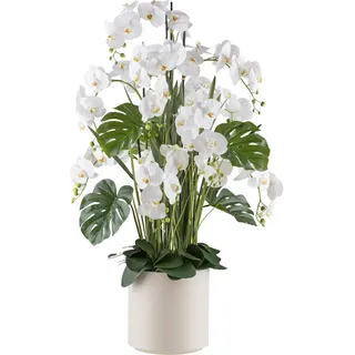 Creativ green "Orchidee Phalaenopsis", mit Gräsern und Splitphilo-Blättern,