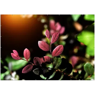 Wallario XXL Outdoor-Poster für Garten oder Balkon, Motiv Rote und grüne Blätter an einem Zweig, in ca. 400 x 280 cm - Schwarz