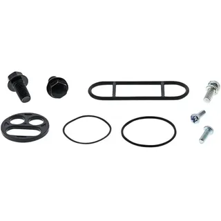 Moose Hard-parts 60-1031 Reparatursatz Für Benzinhahn - Silver / Black - One Size