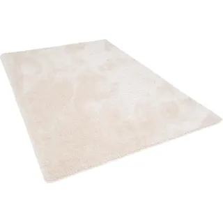 Snapstyle Snapstyle, Teppich, Hochflor Shaggy Teppich Luxus Feeling Mix (200 x 300 cm)