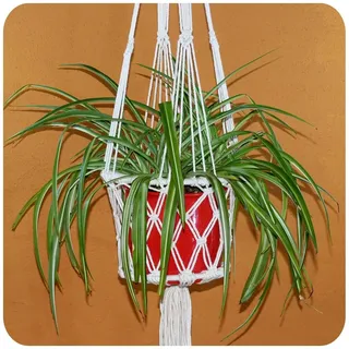 Makramee Blumenampel Hängeampel Pflanzen-hänger Planthanger Shabby Chic geknotet