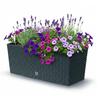 Prosperplast Blumenkasten Planteur Rato Case inkl. Bewässerung, Anthrazit, aus Kunsstoff, in Rattan-Optik, Ideal für den Innen & Außenbereich, 17L, 51,4 x 19,2 x 18,6 cm
