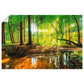 ARTland Wandbild ARTLAND "Wald mit Bach", grün (farbe bild(er): grün), B:60cm H:40cm, Bilder, als Alubild, Leinwandbild, Poster in verschied. Größen