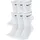 Herren Everyday Cushion Crew Socken, 6er pack, White/Black, M
