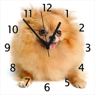 Wallario Design Wanduhr Lustiger niedlicher Spitz aus Echtglas, Größe 30 x 30 cm - Weiß