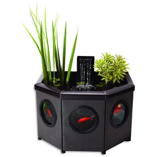 Aqua Garden Affinity Kompletter Hochteichbausatz mit Fenstern - halbmondförmig, Pool mit Wasserspiel, einschließlich Inpond 5 in 1 2000 Teich- und Wasserpumpe mit UV-Klärer, DREI Fenster, Mocha