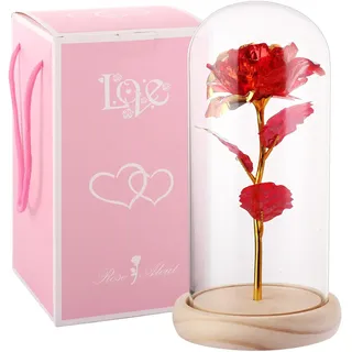 ASelected Rose Im Glas Ewige Rose Im Glas mit Einer Wunderschönen Geschenkbox Glas Rose Kristallrose Blumen für Mutter Freundin Ehefrau Bunte Rose in Einer Glaskuppel Geschenke für den Valentinstag