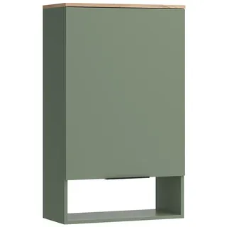 Vicco Hängeschrank Wido Grün 60 x 100 cm mit Tür , Holzwerkstoff , 4 Fächer , Rechteckig , 60x100x30 cm , Wohnzimmer, Wohnwände, Hängeelemente