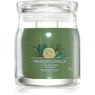 Yankee Candle Sage & Citrus Duftkerze 368 g grün