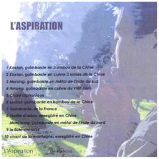 Wang Li - L'aspiration