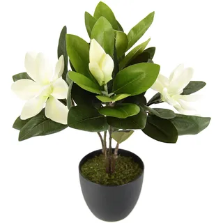 Flair Flower I.GE.A. Kunstblume Magnolie im Topf künstlich Frühling Seidenblumen Raumdeko, weiß