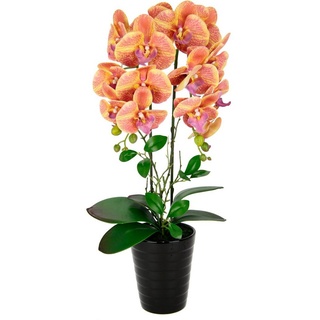 I.GE.A. Kunstblume »Orchidee«, Im Topf Phalaenopsis Orchidee Phalaenopsis mit Übertopf Hochzeit orange