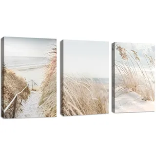 3 Teilig Strand Schnee Landschaft Bilder Set, Modern Beige Natur Pflanzen Wandbilder mit Rahmen, Boho bild auf leinwand Wandkunst Kunstdruck Deko für Wohnzimmer Schlafzimmer Küche Esszimmer 30x40x3
