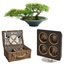 Bild Wohnaccessoires