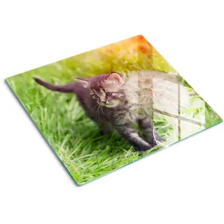 Tulup Glasplatte 60x52 cm Löwenzahnkätzchen , Grau , Glas , 60x0.4x52 cm , Küchen, Küchenelektrogeräte, Herde, Herdabdeckplatten