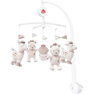 Fehn Peru - Musikmobile