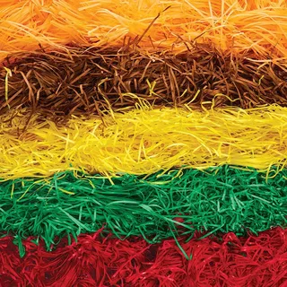 Baker Ross FX112 Herbst Seidenpapierschnipsel - 100 g, Füllmaterial in Halloween Farben, Geschreddertes Papier