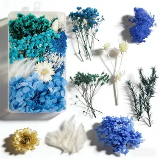 Trockenblumen zum Basteln Trockenblumen Klein Getrocknete Blumen Deko Set für DIY Basteln Handwerk Epoxidharz Scrapbooking Deko(Blau)