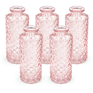 Blümelhuber 5er Set Kleine Vase Glas Deko Hochzeit - Vase Klein - Vase Modern - Deko Frühling - Pflanzen Deko Trockenblumen Set Vasen Hochzeitsdeko (Rose), WM1554