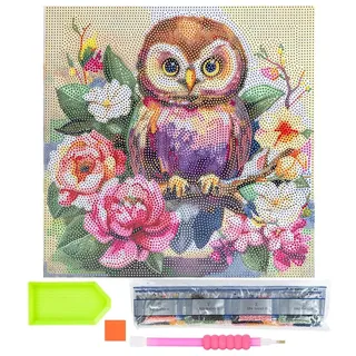 Ideen mit Herz Diamond-Painting-Motivleinwand auf Keilrahmen | 30 cm x 30 cm | Set inkl. Werkzeug (Eule mit Blumen)