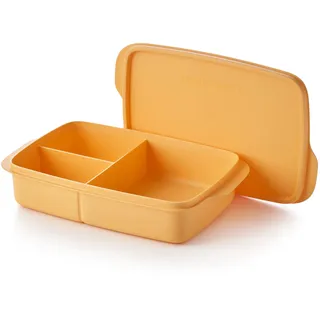 Tupperware Lunch-It Portion & Go Lunchbox für Lebensmittel, spülmaschinenfest, BPA-frei (4 Tassen/1 l)