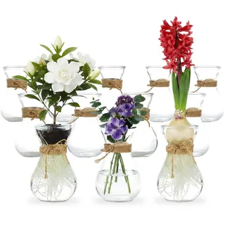 casavetro 12st Tee-Vase Blumen Tisch Dekoration Hochzeit Party Set Flasche Glas klar (12 Stück)