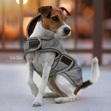 Bild Dogwear Hundemantel Reflektierend & Wasserabweisend Silber L