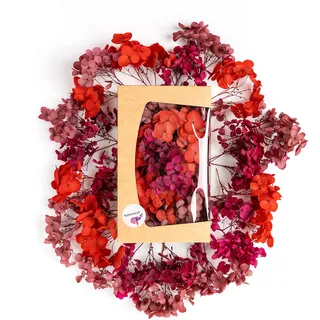 Getrocknete Hortensie Echt - Trockenblumen zum Basteln - Für natürliche Deko - Perfekt für schöne Herbst Dekoration (Rot)