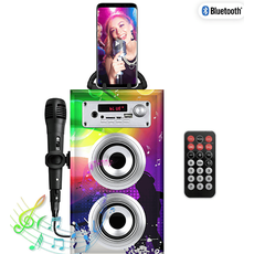 Patryfunlights Bluetooth Karaoke-Party-Lautsprecher - Mikrofon Fernbedienung, mehrfarbig