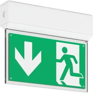 RZB RZB, LED-Sicherheitsleuchte