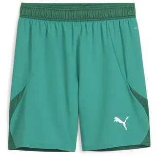 Puma teamFINAL Shorts