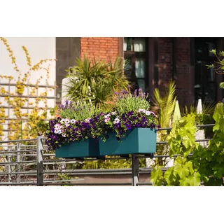 Lechuza 50 Color - Exclusive Sonderfarbe Capri, 50x19x19 cm