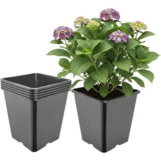 Garronda Pflanztopf Kunststoff hoch 25 x 25 x 26 cm (11L) 5er Set eckig mit Drainagelöchern Blumentopf PP Pflanzgefäß für Garten Gewächshaus Balkon Anzucht Innen Außenbereich Schwarz GD-0201