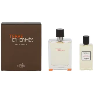 Terre d'Hermès Eau de Toilette 100 ml + Shower Gel 80 ml Geschenkset 1