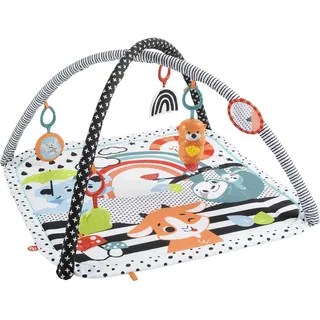 Fisher-Price Mattel Fisher-Price Tierfreunde Kontrast-Spieldecke (HBP41)
