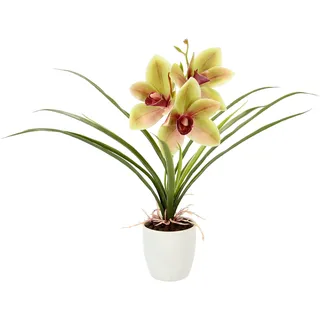 OTTO home Kunstblume "Orchidee" Mit Blätter im Topf aus Keramik Künstliche Blume Cymbidium-Orchidee, grün, rot