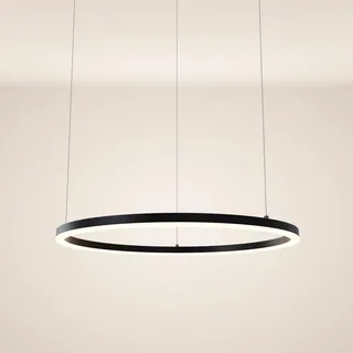 s.luce Led-Hängeleuchte Ring Direkt/Indirekt 5m Schwarz Ø 80cm , Metall , Rund,Rund , LED integrated , 80x3.3x80 cm , Lampen & Leuchten, LED Beleuchtung, LED-Hängeleuchten