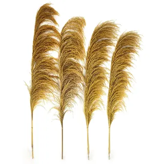Goldenes Pampasgras-Dekor, hoch, 4 Stück, 110 cm, großes natürliches getrocknetes buntes Pampasgras, goldene Pompas-Blumen mit Trockenblumenaroma, goldene getrocknete Pflanze