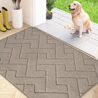 FCSDETAIL Schmutzfangmatte Innen 80 x 120 cm, rutschfeste Fußmatte, waschbar Sauberlaufmatte, absorbierend Türmatte, Fussmatte Teppich für Hund, Eingang, Haustür & Flur