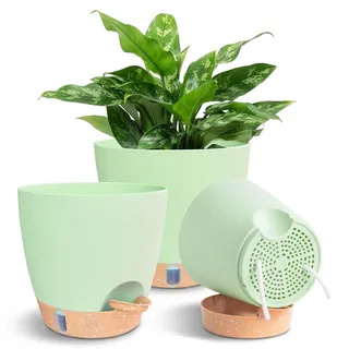 Aurablend 3er Set Selbstbewässerungstopf (15/17,6/20 cm) : Blumentopf hängend & stehend, Pflanzkübel groß außen,Blumenampel mit Wasserspeicher – für Orchideen,Zimmerpflanzen, Grün